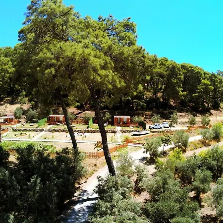 Tiny Mini House * 달라만