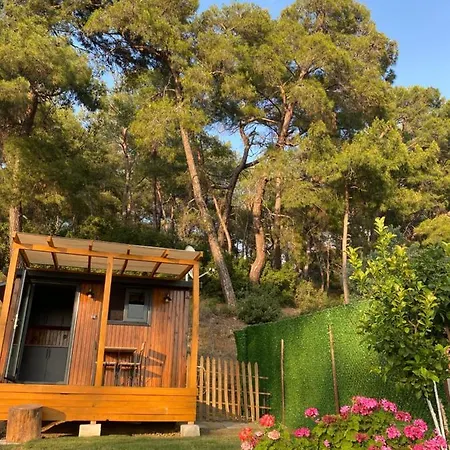 キャンプ場 Tiny Mini House ダラマン