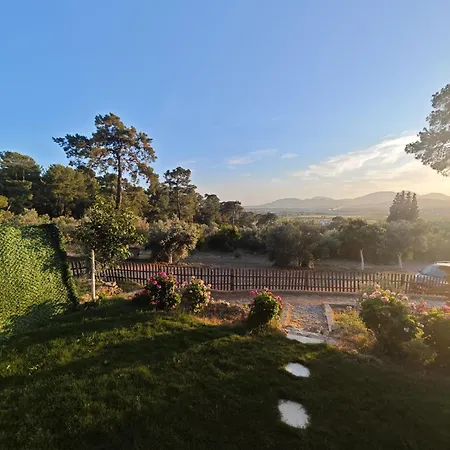 Tiny Mini House * 달라만