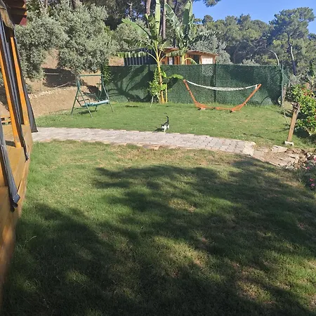 Tiny Mini House 캠프장