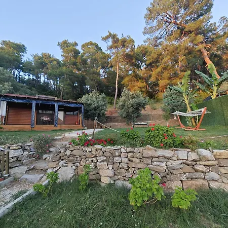 Tiny Mini House キャンプ場 ダラマン