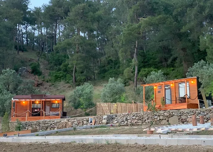 Kemp Tiny Mini House