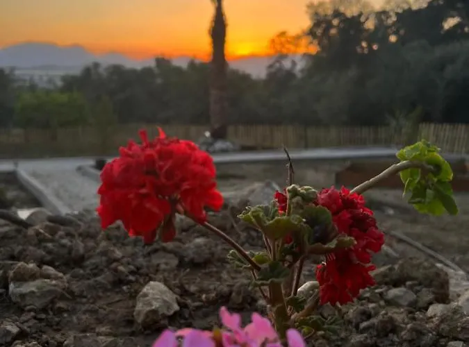 Tiny Mini House Dalaman