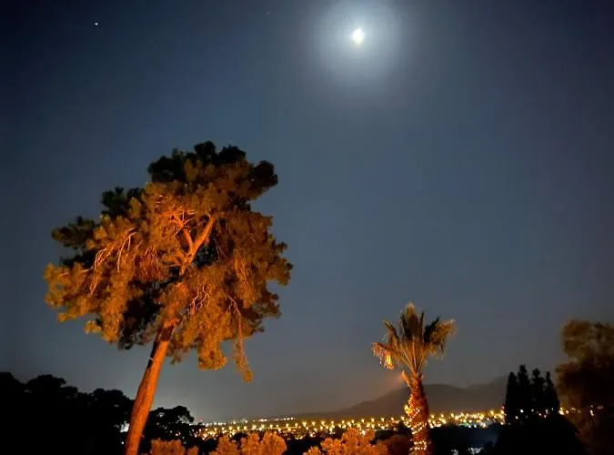 Kemp Tiny Mini House