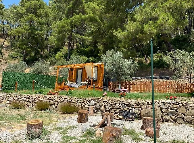 Tiny Mini House Kemp