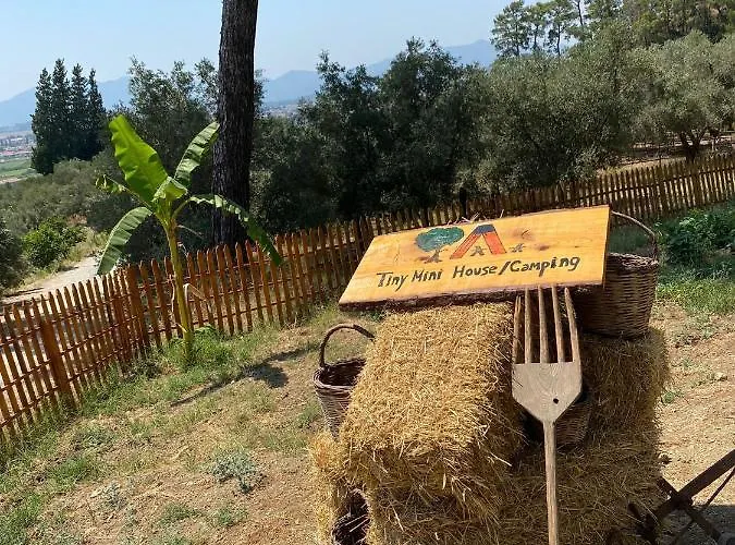 Tiny Mini House *