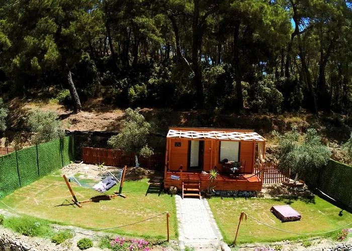 Kemp Tiny Mini House