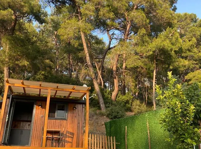 Kemp Tiny Mini House Dalaman