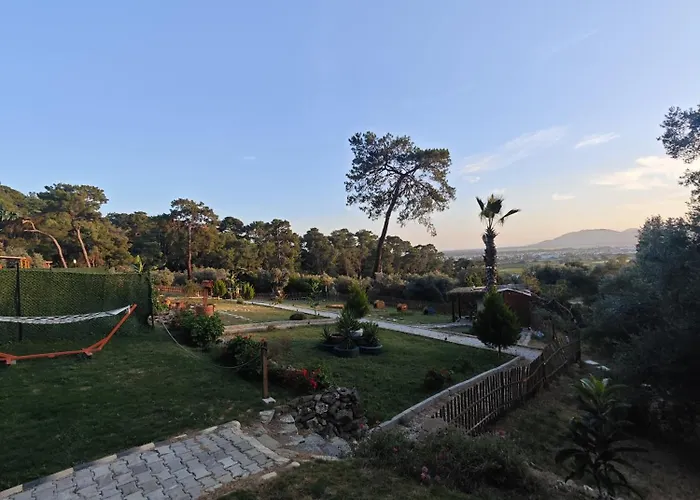 Tiny Mini House Camping *