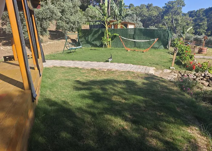 Tiny Mini House Camping