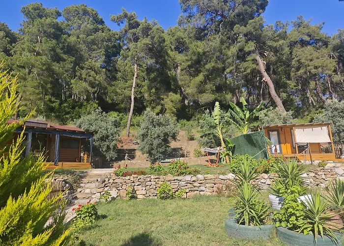 Kemp Tiny Mini House Dalaman