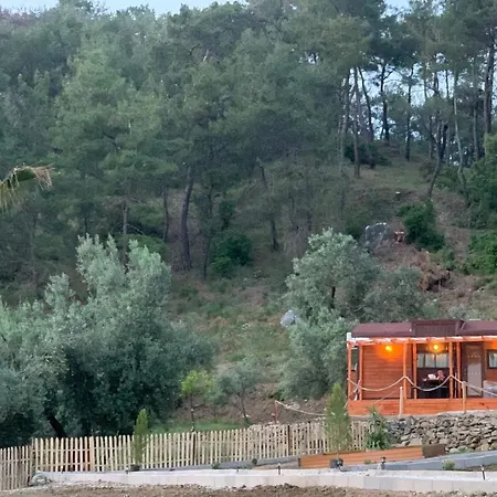 Tiny Mini House 달라만
