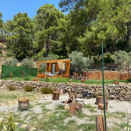 Tiny Mini House Camping