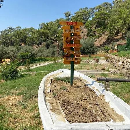 Tiny Mini House Camping