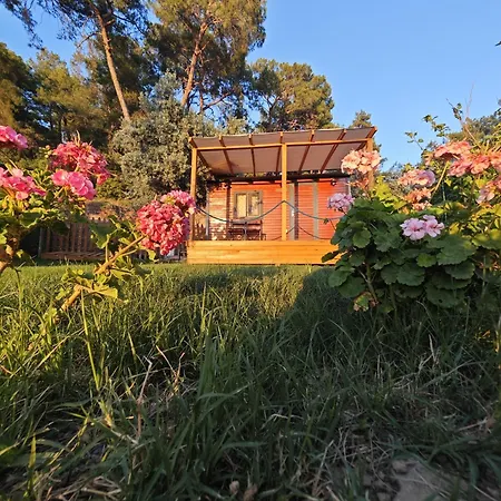 Κάμπινγκ Tiny Mini House