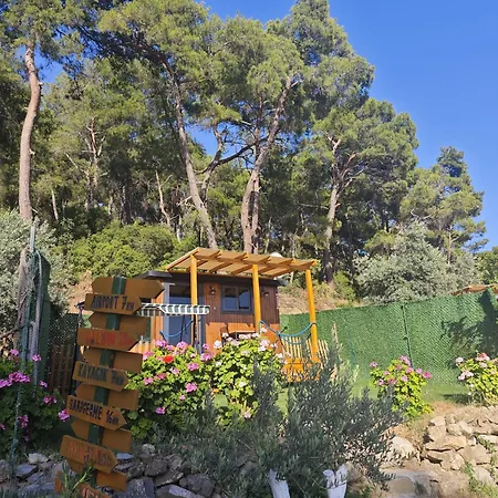 Tiny Mini House 캠프장 달라만