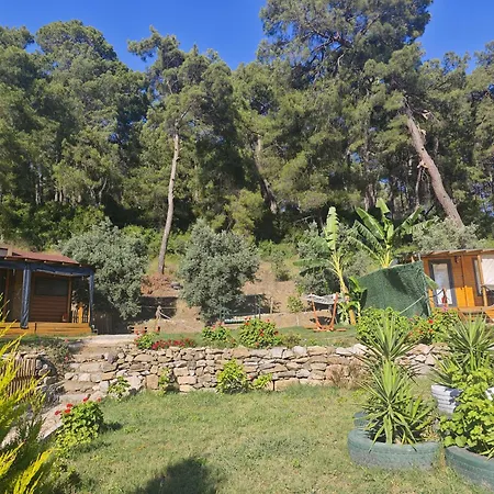 캠프장 Tiny Mini House 달라만