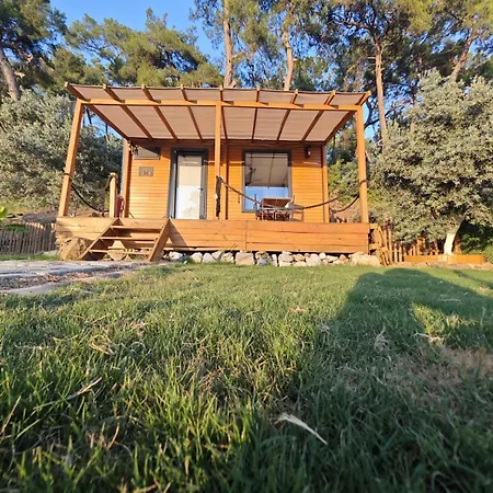 캠프장 Tiny Mini House 달라만