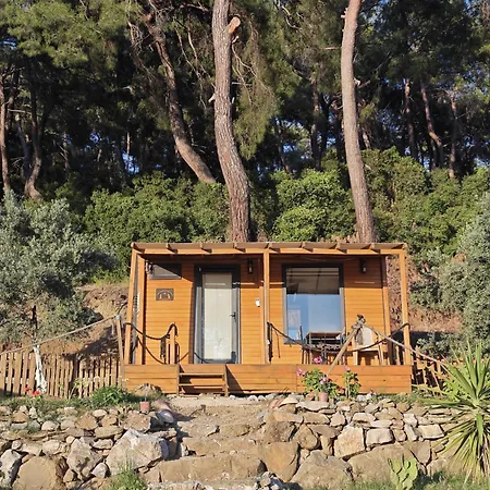 Tiny Mini House Kemping