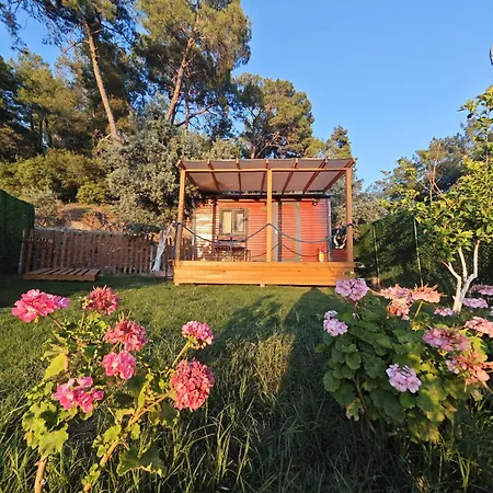 Tiny Mini House Dalaman