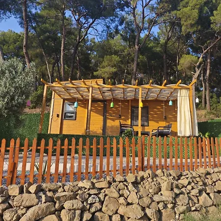 캠프장 Tiny Mini House *
