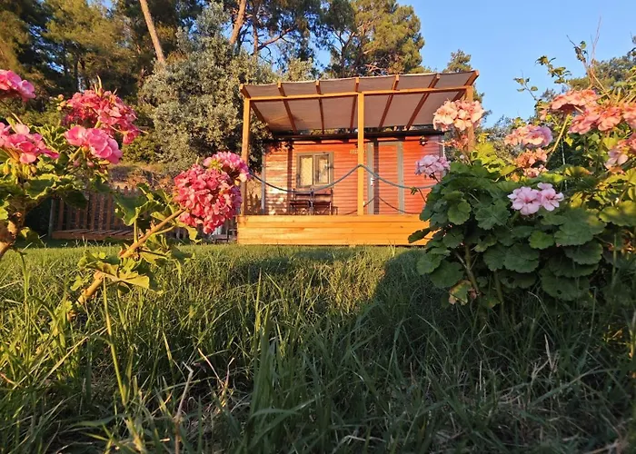 Кемпинг Tiny Mini House