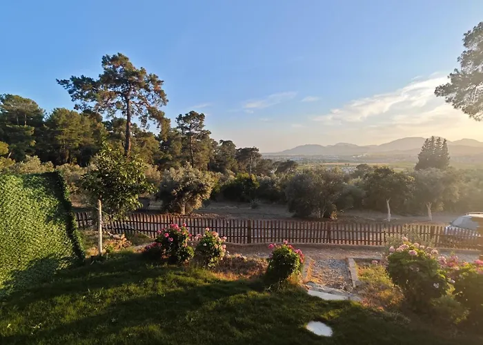 Tiny Mini House * דלמן