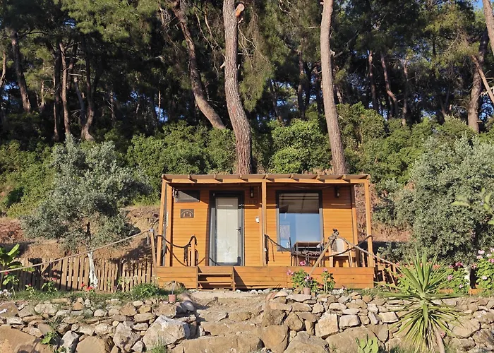 Tiny Mini House Кемпинг