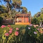 Tiny Mini House ダラマン