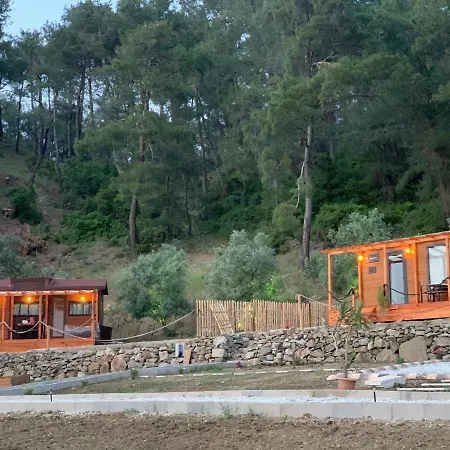 Campsite Tiny Mini House