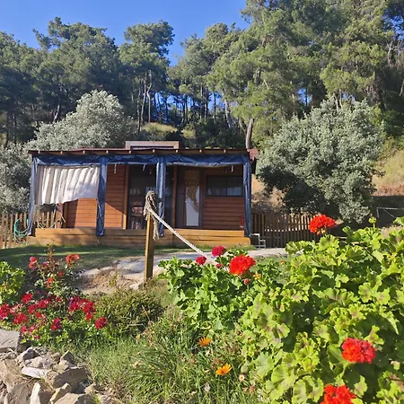キャンプ場 Tiny Mini House ダラマン