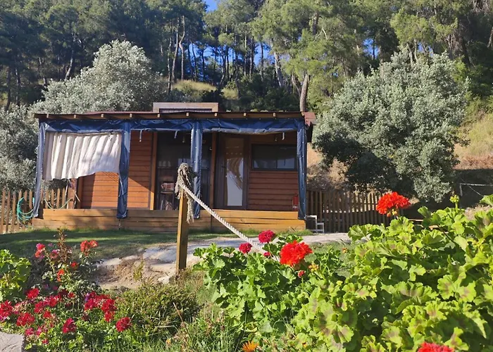 Camping Tiny Mini House Dalaman